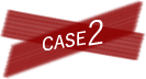 case 2